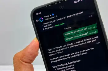 L’IA de Meta sur WhatsApp va utiliser vos interactions pour la publicité