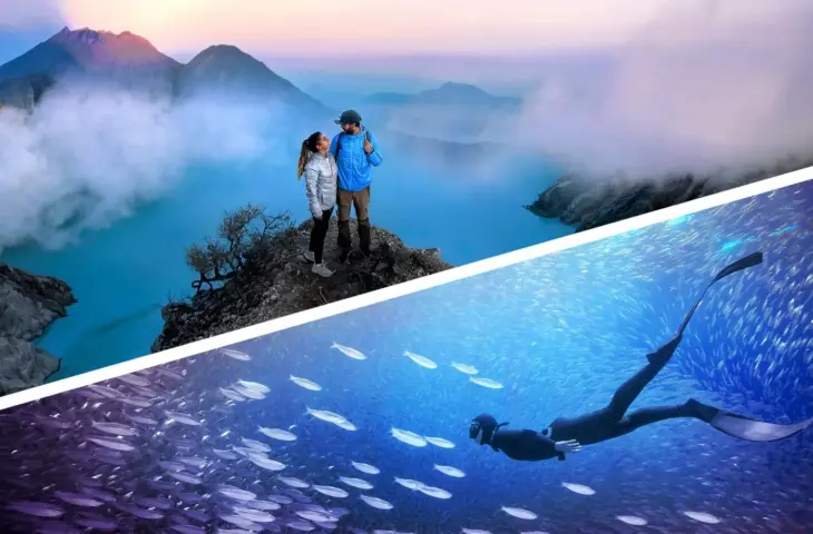 Photoshop en Premiere Elements 2026. Bron: Adobe