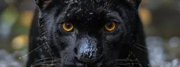 Ce qu&rsquo;il faut retenir du CES 2026 : Intel contre AMD contre un peu de Qualcomm