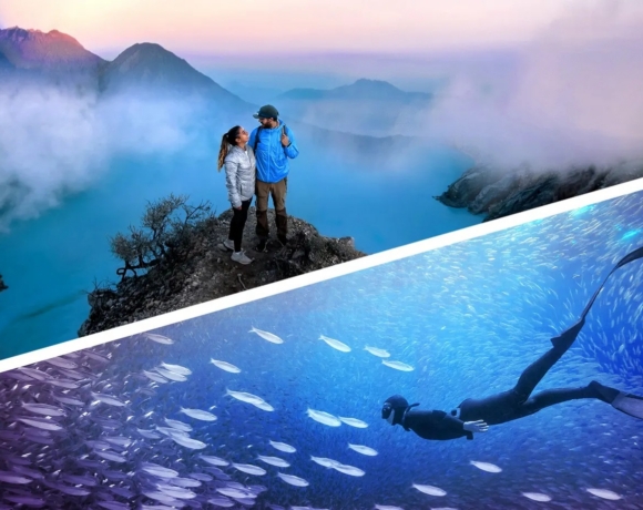 Photoshop en Premiere Elements 2026. Bron: Adobe